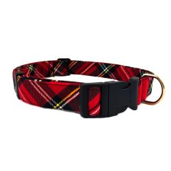 Hundhalsband Skotte