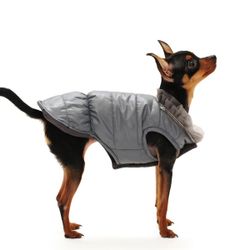 Dog Coat w Tulle Trim