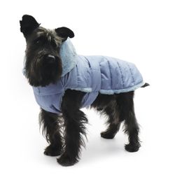 Quilted dog coat, Baby Blue