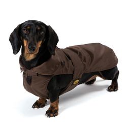 Waterproof Dachshund Coat Detachable Padding
