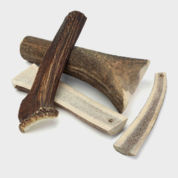 Cloud7 Natural Whole Antler Chew