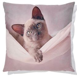 Cushion Cover Cat in a Hammock