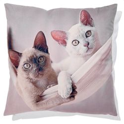 Cushion Cover 2 Cats in Hammock