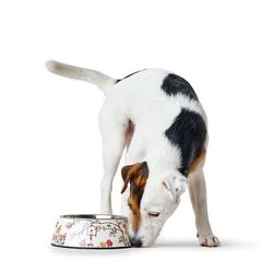 Hunter Mogami Bowl - White