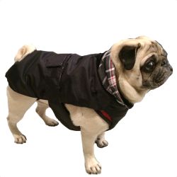Pug/FrBulldog Black Trench w. detachable lining