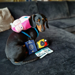 Billy Backpack Hundleksak