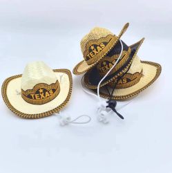 Cowboyhatt hund, Texas