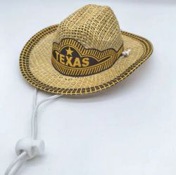 Cowboyhatt hund, Texas
