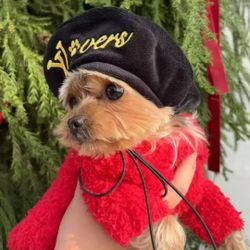 Luxury Pet Basker, Black