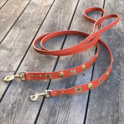 Genuine Alp Leash Red