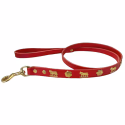 Genuine Alp Leash Red