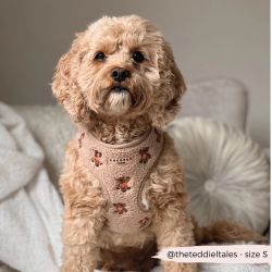 Cocopup London Theo Hundsele