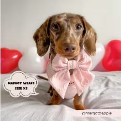 Cocopup London Pink Heart Hundsele
