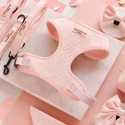 Cocopup London Pink Heart Hundsele