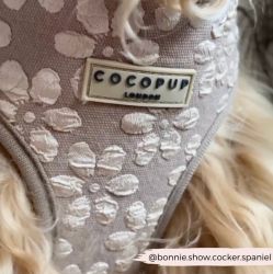 Cocopup London Mocha Flower Bandana