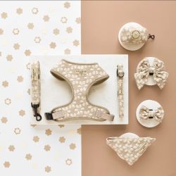 Cocopup London Fluga Mocha Flower