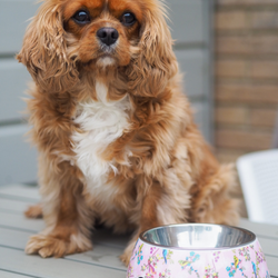 Hundmatskål – Rosy Paradise