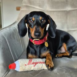 Happy Mayo Hundleksak