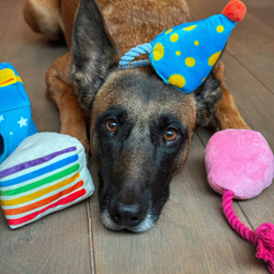 Snuffles Festive Party Box