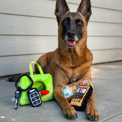 Snuffles Barking Bag