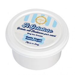 Dolci Impronte Gelato, Hundglass Yoghurt