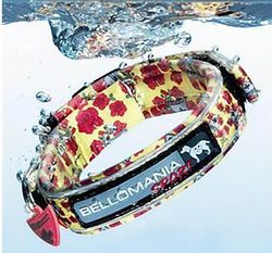 Bellomania Iven Man Hundhalsband