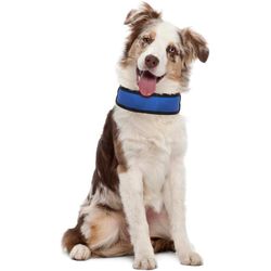 Fresh Collar Kylhalsband för hund 35-40cm