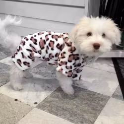Cosy Jumpsuit White Leopard