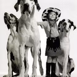 Vykort Cow Girl
