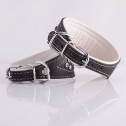 Greyhound Crystal Black/White