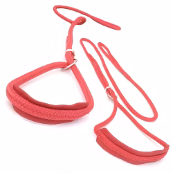 Show Leash Nylon Red Leather details