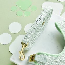 Cocopup London Matcha Textured Tweed Hundkoppel