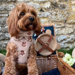 Cocopup London Bow Tie Theo Teddy