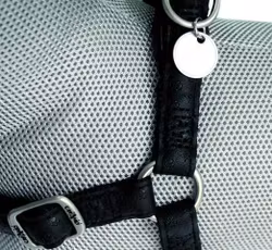 Soft Harness Adjustable, Black 60-100x25MM