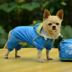 4-legged Light Wind/Rain Suit Light Blue