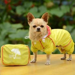 4-legged Light Wind/Rain Suit Lime