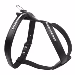 Leather Harness with studs - Black