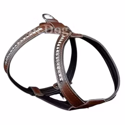 Leather Harness with studs - Brown