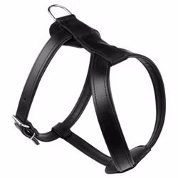 Leather Harness - Black