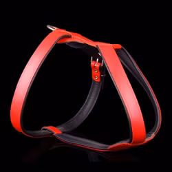 Leather Harness - Red