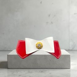 Set Collar & Leash Red