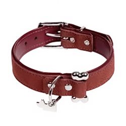 Aragon Suede Leather Collar Burgundy