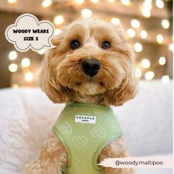Cocopup London Sage Heart Hundsele