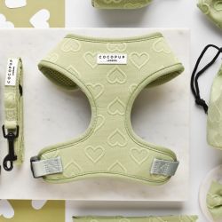 Cocopup London Sage Heart Hundsele