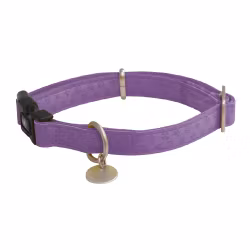 Soft Collar Purple
