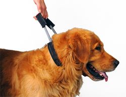 Black Nylon Collar, Pull out Handle