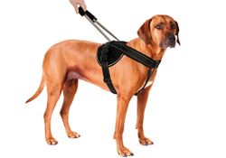 Black Nylon Harness, Pull out Handle