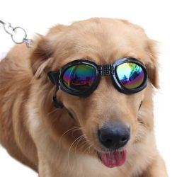 Pet Glasses Large Dogs Foldable UV, Black