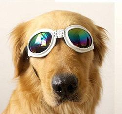 Pet Glasses Large Dogs Foldable UV, White