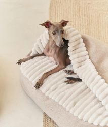 Beige Corduroy hundsäng med huva, Maso